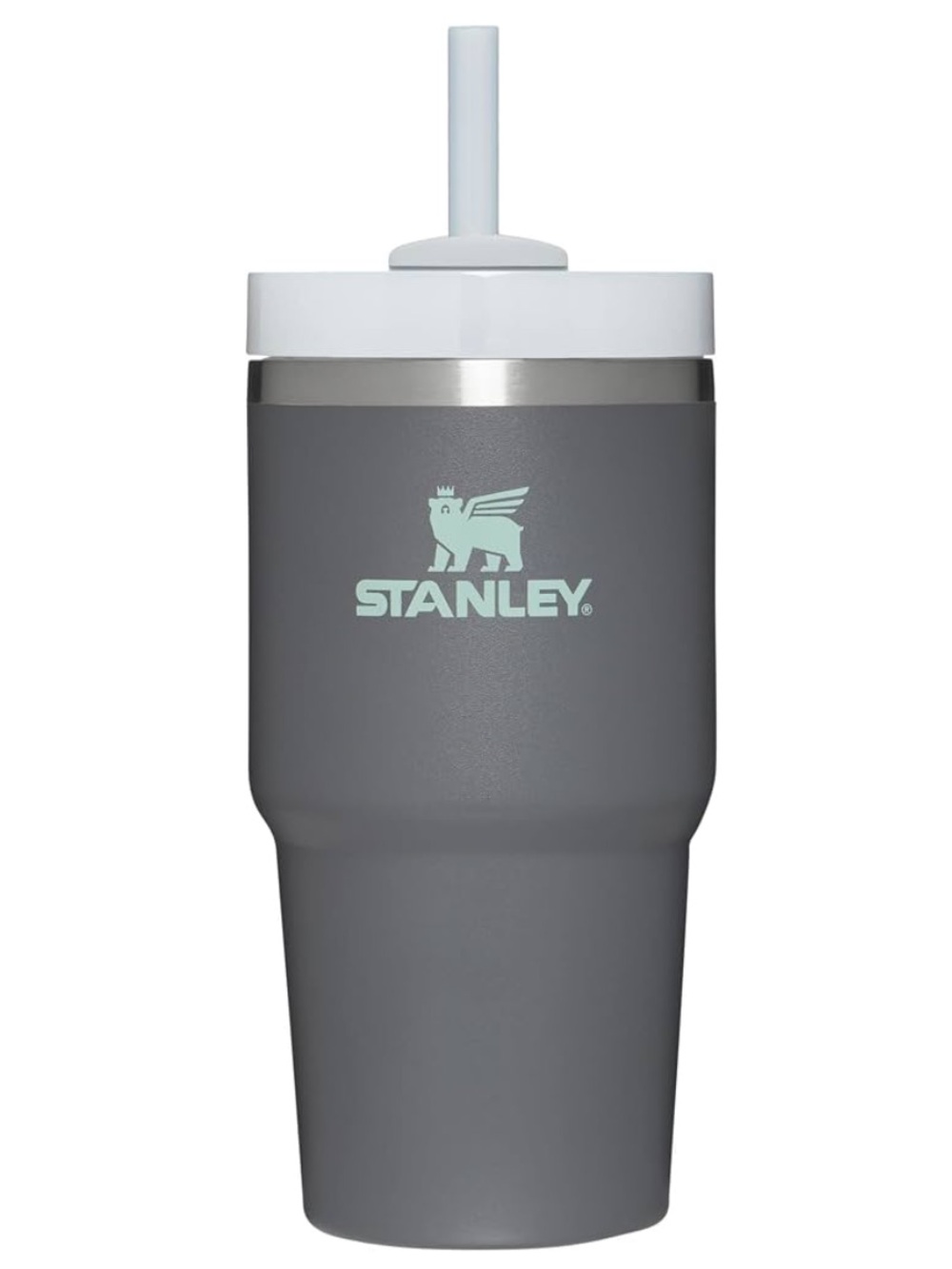 Stanley Quencher H2.0 Tumbler with Straw 20 oz | Flowstate 3-Position Lid | Cup